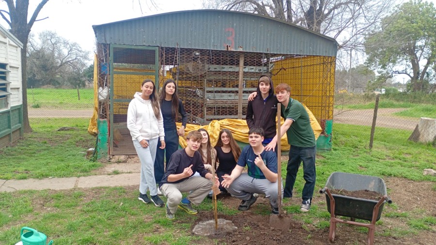 Las especies donadas fueron seleccionadas por su valor ecológico y su pertenencia al ecosistema regional.
