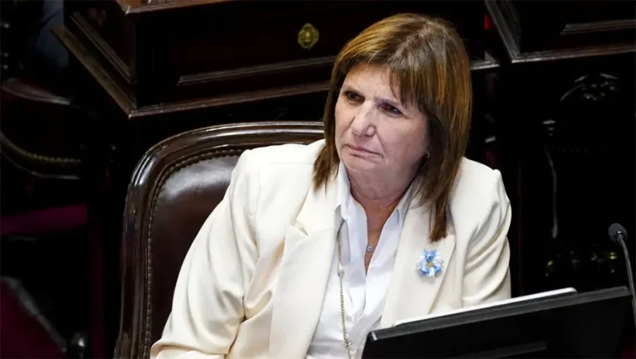 PATRICIA BULLRICH. Senadora nacional y jefa del bloque de La Libertad Avanza.