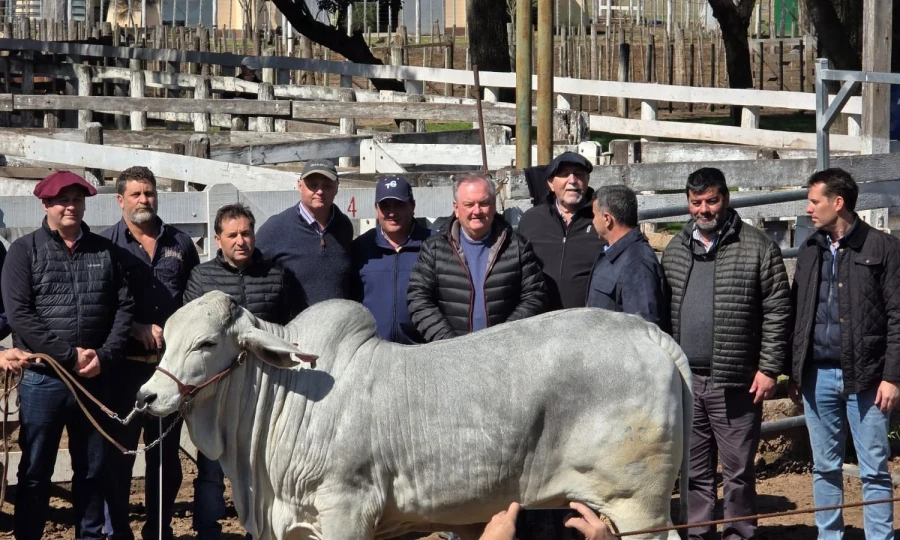 Las autoridades junto a uno de los animales premiados.