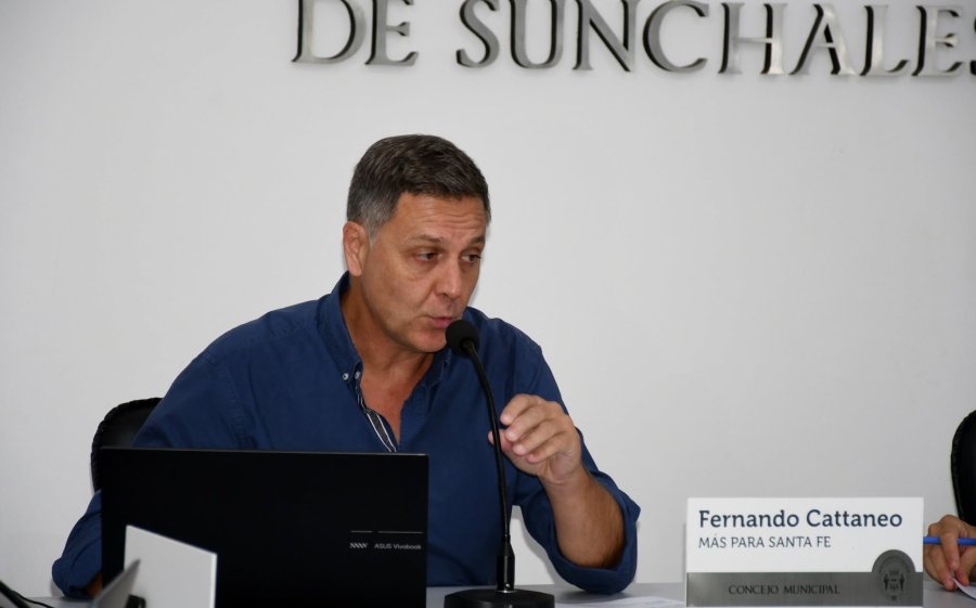 Fernando Cattaneo presidiendo una de las sesiones.