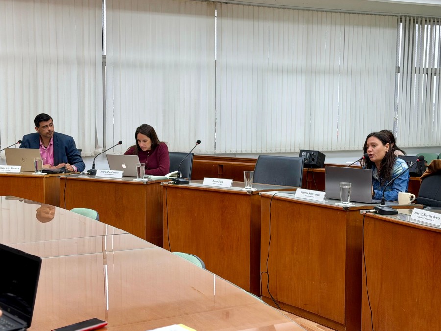 El bloque de concejales del PJ decidi&oacute; dar despacho a su proyecto para cambiar la velocidad m&aacute;xima en el &aacute;rea central de la ciudad.