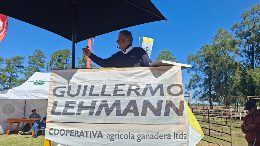 Alberto Bircher presidi&oacute; la subasta en el predio ferial de la Mutual de Romang. (FOTO CGL)