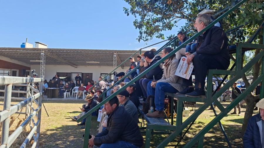 Con tribunas colmadas y una importante presencia de productores, compradores y referentes del sector, la jornada se destac&oacute; por su ritmo &aacute;gil. (FOTO CGL)