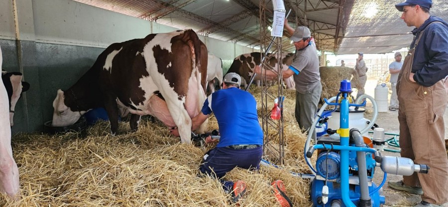 El Concurso de Vacas Lecheras es una de las m&aacute;s antiguas tradiciones en el marco de la exposici&oacute;n anual de la Sociedad Rural de Rafaela.