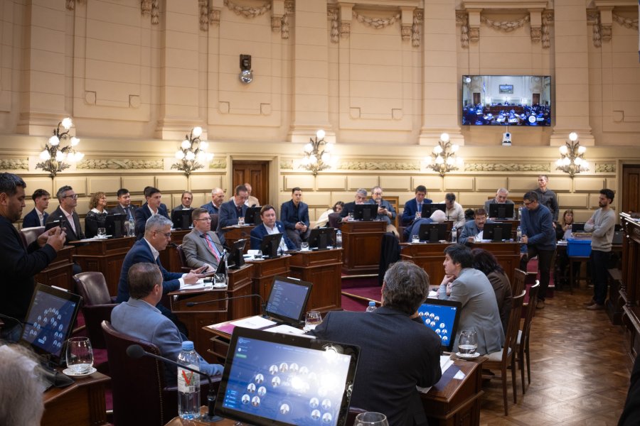 El Senado tambi&eacute;n se pronunci&oacute; sobre el estado de las rutas nacionales que atraviesan la Provincia de Santa Fe. (FOTO PRENSA SENADO)