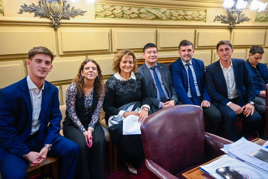 La diputada provincial Gisel Mahmud, la presidente del Colegio de Profesionales de la Abogac&iacute;a de Santa Fe, Balbina Cavalieri y el senador por La Capital, Paco Garibaldi, entre otros, en la sesi&oacute;n de la C&aacute;mara alta. (FOTO SENADO SANTA FE)
