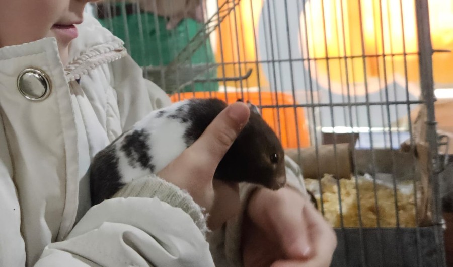 Como desde hace varios a&ntilde;os, el Grupo Zoolidarios de la Facultad de Ciencias Veterinarias tambi&eacute;n estuvo presente con diferentes propuestas.