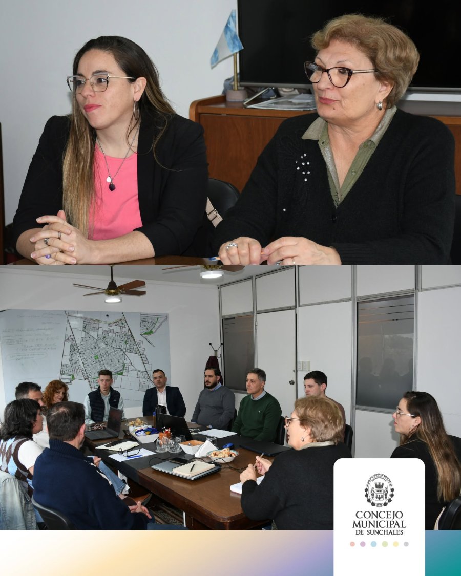 Dos im&aacute;genes capturadas durante la reuni&oacute;n de trabajo.