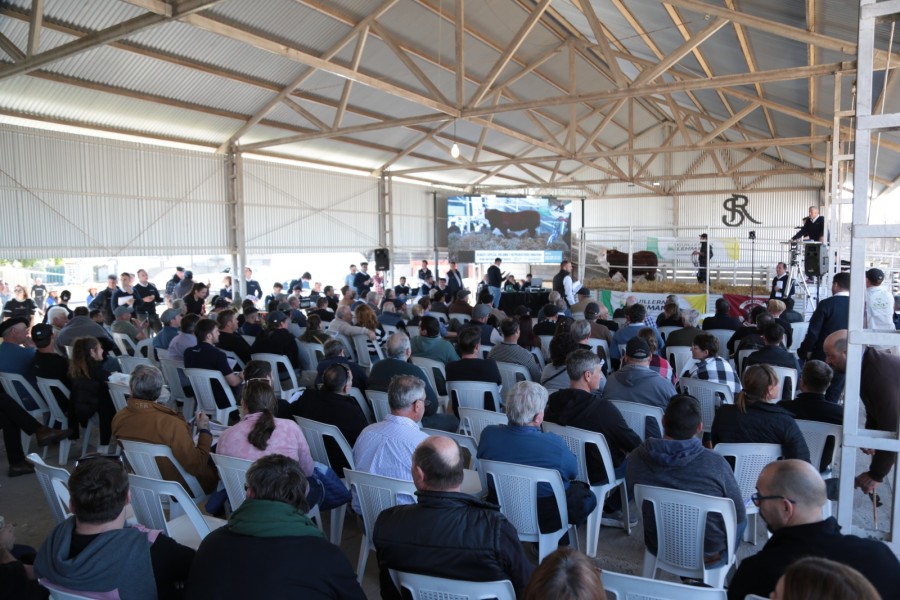 El gran remate de la ExpoRural 2026 estuvo a cargo de la gente que sabe, de los martilleros del &aacute;rea de carnes de la Cooperativa Guillermo Lehmann. (FOTO CGL)