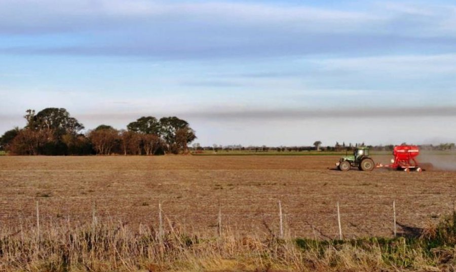 Lote con rastrojo de soja temprana, en pleno proceso de siembra de ma&iacute;z temprano (de primera), en el centro del departamento Castellanos.