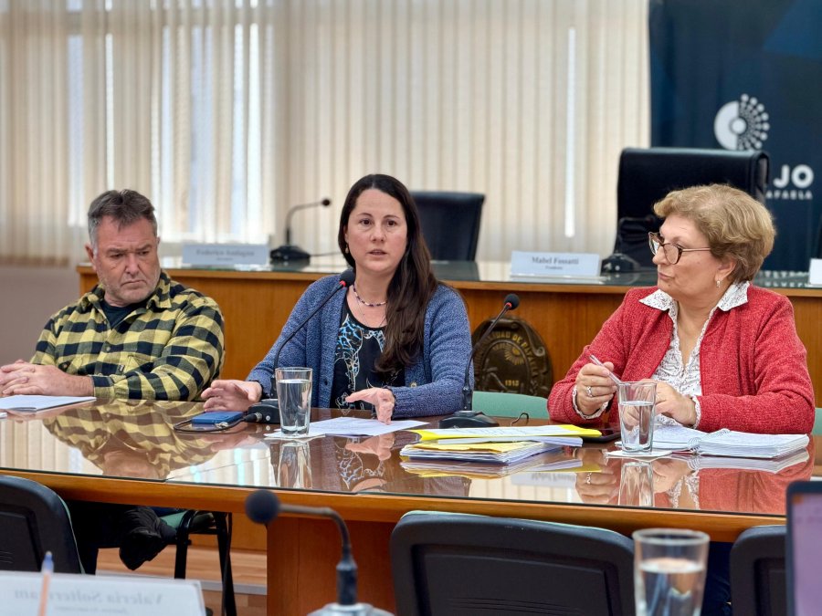 CONVENIOS URBANISTICOS. La subsecretaria de Desarrollo Urbano y Metropolitano, Maria Emilia Vidal, durante la exposici&oacute;n de los proyectos en la sala de sesiones del Concejo Municipal.