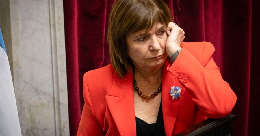 SIN EDAD. La senadora de La Libertad Avanza celebr&oacute; en redes la aplicaci&oacute;n de la nueva normativa, que reduce de 16 a 14 a&ntilde;os la edad m&iacute;nima de imputabilidad.