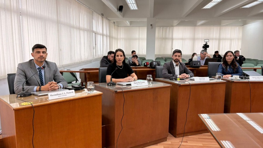 Los concejales del bloque del PJ, Maximiliano Postovit, Paz Caruso, Juan Senn y Valeria Soltermam. (FOTO BLOQUE CONCEJALES PJ)
