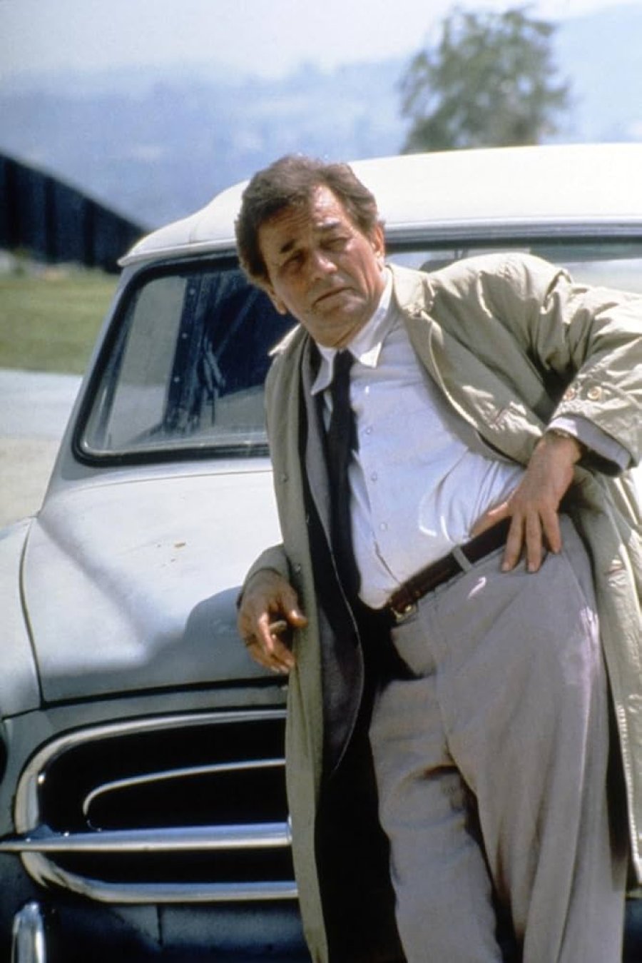 Columbo, el particular investigador.
