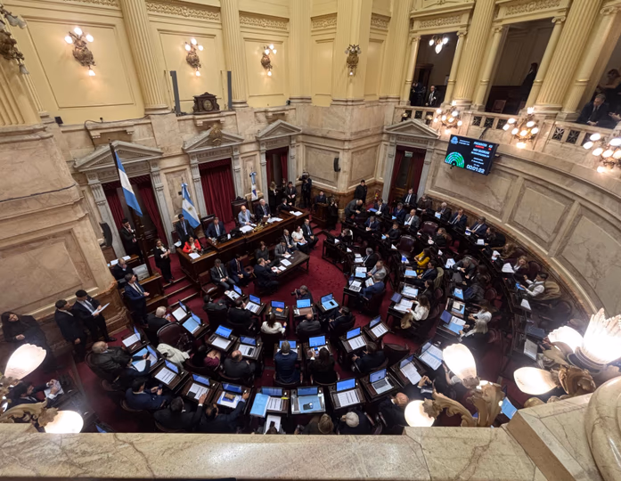 El Senado de la Naci&oacute;n.