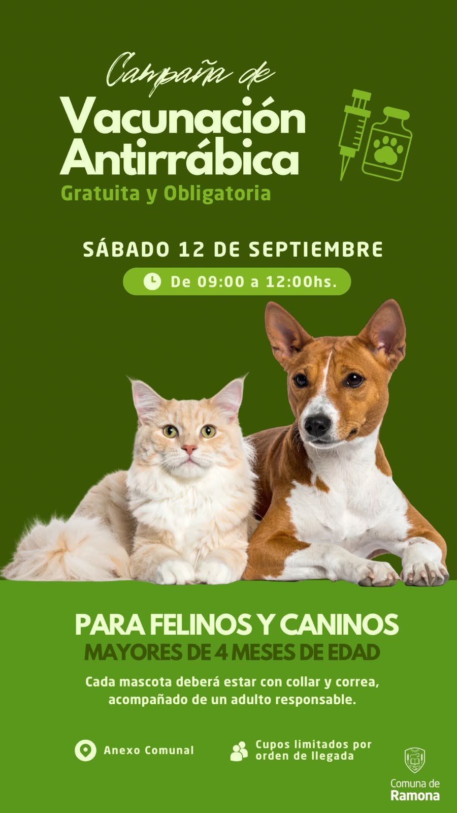 Difusi&oacute;n de la actividad.