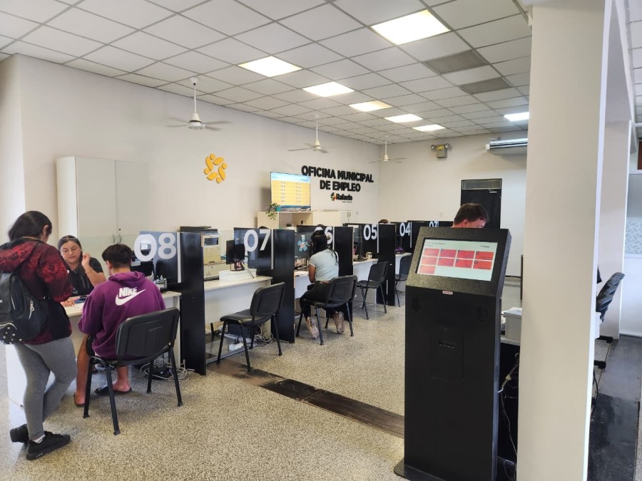 En total fueron derivados 133 perfiles.