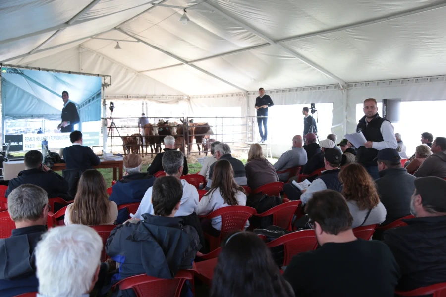 Con muy buenos resultados, la Cooperativa Guillermo Lehmann llev&oacute; a cabo el Remate Especial Holando y Reproductores Braford en el marco de la FINACO.