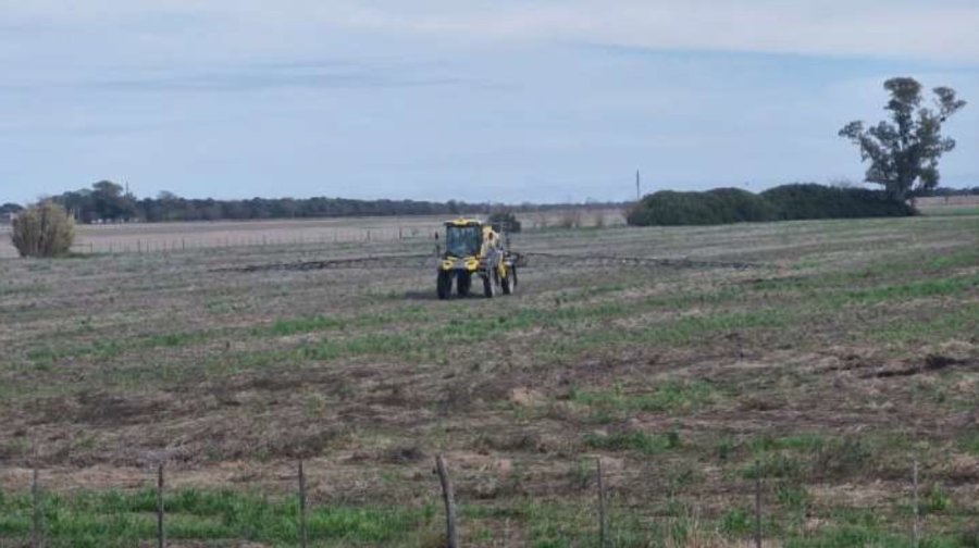 Lote con rastrojo de soja tard&iacute;a (de segunda) en proceso de aplicaci&oacute;n de herbicida para el control de las malezas, en el centro del departamento Castellanos.