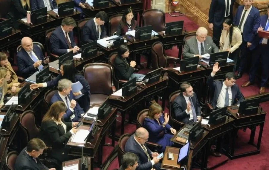 SESION. El oficialismo logr&oacute; sancionar el proyecto con votos de la LLA, UCR, PRO y bloques provinciales.