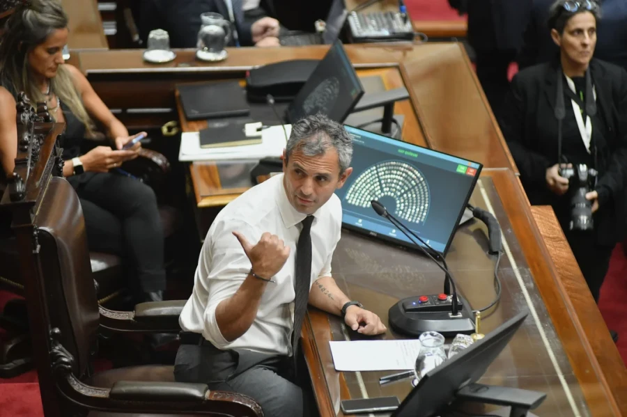 El presidente de la C&aacute;mara de Diputados, Mart&iacute;n Menem.