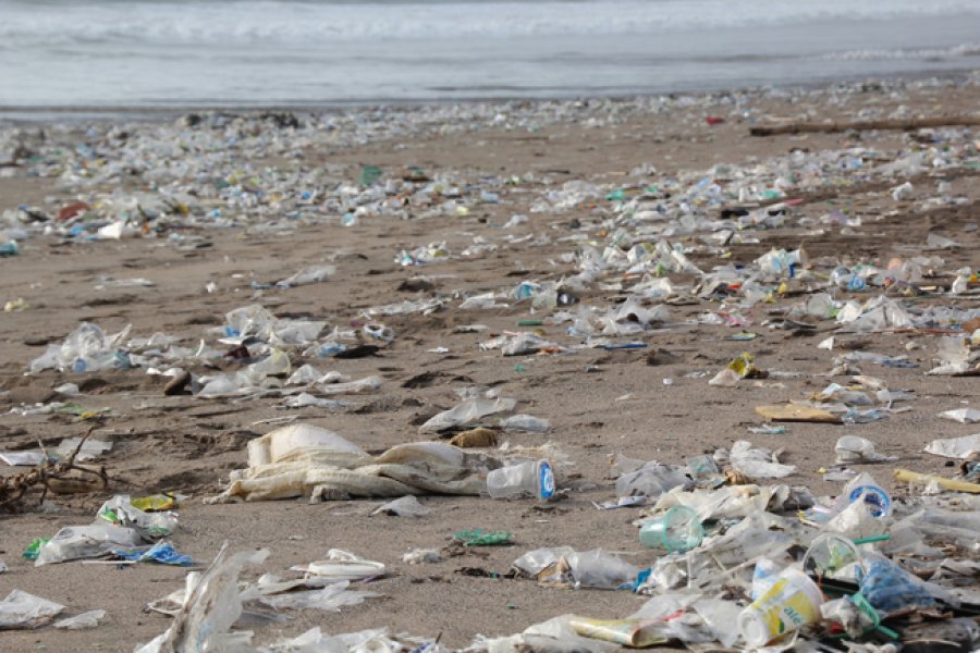Denigrante, basuts en una playa.