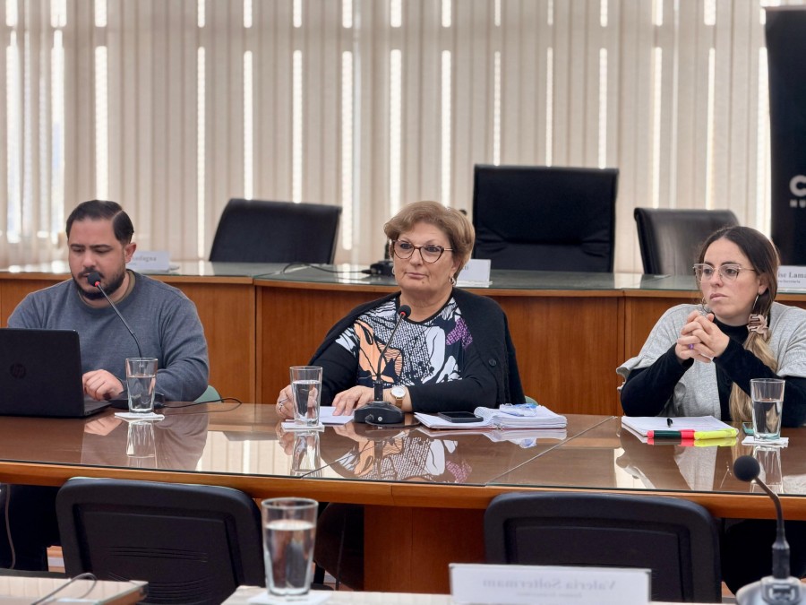 La presidente del Concejo, Mabel Fossatti, debi&oacute; intervenir para bajar el tonno de los cruces entre peronistas y libertarios. (FOTO PRENSA CONCEJO)