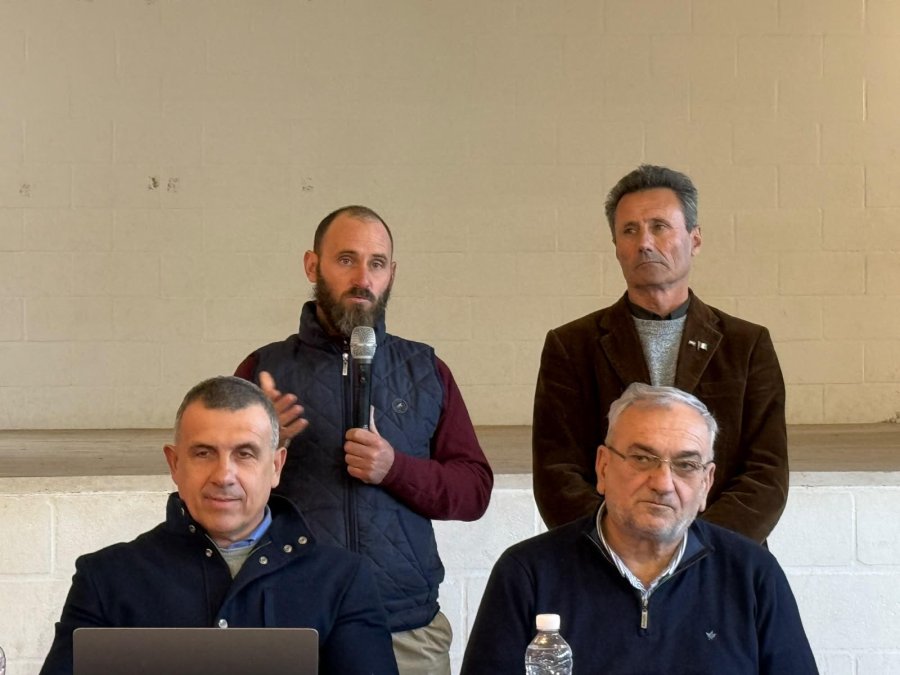 Dami&aacute;n Chiappero, Adri&aacute;n Sola, Sergio Cardozo y Alcides Calvo.