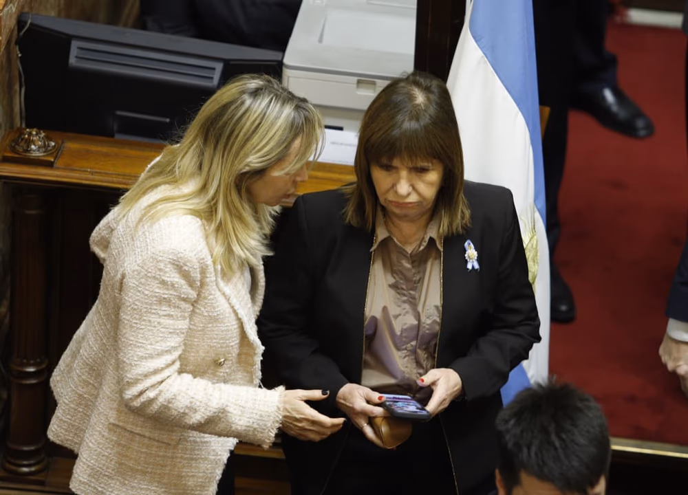 La senadora Patricia Bullrich en la sesi&oacute;n.