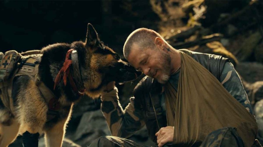 &ldquo;El coraz&oacute;n de la bestia&rdquo;, la nueva pel&iacute;cula protagonizada por Brad Pitt.